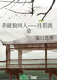 《杀破狼同人——月若流金》