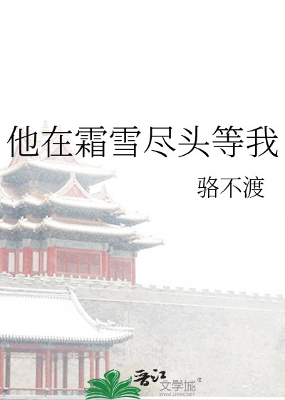 他在霜雪尽头等我