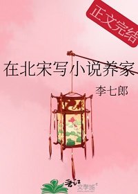 在北宋寫小説養家