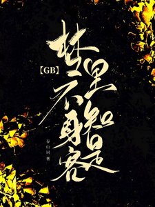 《夢裏不知身是客GB》