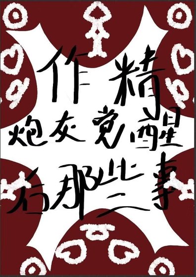 《作精炮灰觉醒后那些事》