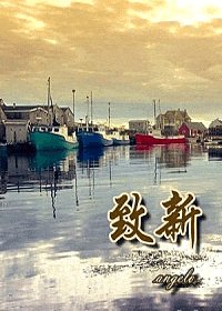 致新