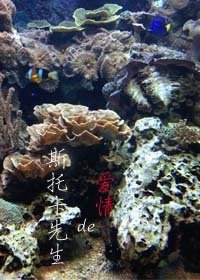 《斯托卡先生的爱情(网配)》