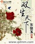 《雙生天下》