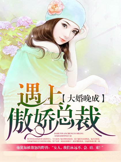 大婚晚成:遇上傲嬌總裁
