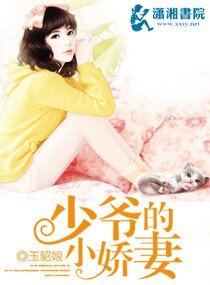 《少爷的小娇妻/恋爱的犀牛》