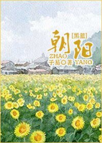 (BG/黑籃同人)朝陽