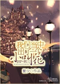 《(BL/综同人)我们当中出了一个小叫花》